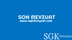 SON MEVZUAT