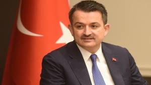 2153 Sözleşmeli Personel Alacak: AYRINTILAR...