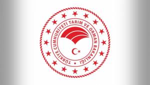 Sözleşmeli Bilişim Uzmanı Alacak
