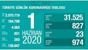 1 Haziran: Yeni Koronavirüs Salgını son durum