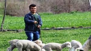 Bakan Selçuk: Kendi İşini Kurmak İsteyen...