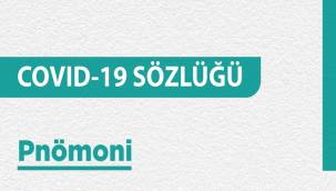 Pnömoni nedir?