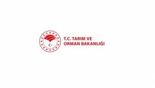 Kuralar çekildi - AYRINTILAR!