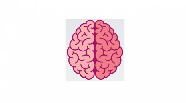 Sağlıklı bir beyin için ne yenilmeli? Üsküdar Üniversitesi NPİSTANBUL Beyin Hastanesi hazırladı!
