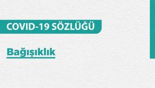 Bağışıklık Nedir? - AYRINTILAR
