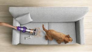 Dyson Mühendislerinden Evcil Hayvan Sahiplerine Temizlik İpuçları
