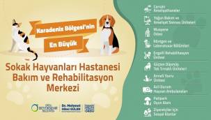 Karadeniz Bölgesi'nin en büyük ve en kapsamlı Sokak Hayvanları Hastanesi...