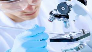 Polifarma Rapid Test Onayı İle...