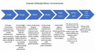 Tarihte yaşanan SALGINLAR!