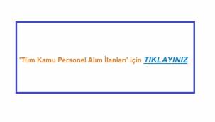 'Tüm Kamu Personel Alım İLANLARI' Günlük ilanları okumak için tıklayınız!