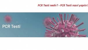 PCR Testi nedir? ve PCR Testi nasıl yapılır?