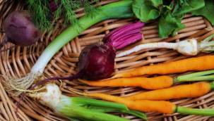 Besinlerin 3’te 1’i israf ediliyor - Yenilebilen sap ve yaprak gibi diğer kısımlar atılmamalı!