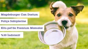 Magdeburger Can Dostum Sigortası'ndan evcil hayvanlarımız için %30 indirimli mama kampanyası!