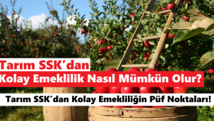 Tarım SSK'dan Kolay Emeklilik Nasıl Mümkün Olur? Tarım SSK'dan Kolay Emekliliğin Püf Noktaları! 