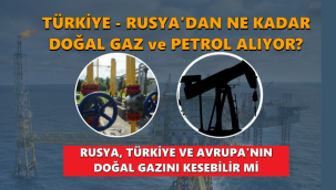 Türkiye Rusya'dan ne kadar doğalgaz ve petrol alıyor? Rusya ''Türkiye ve Avrupa'nın'' gazını kesebilir mi?