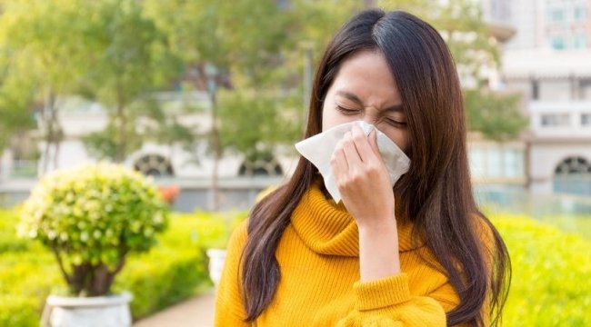 Bahar alerjisinden korunmanın yolları neler? İşte bahar alerjisini yönetmenin yolları! 