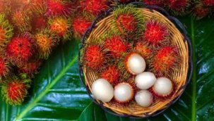 Rambutan meyvesi nedir? Rambutan meyvesinin faydaları neler? Nasıl yenir?