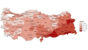 TÜİK çocuk nüfus haritasını yayınladı! Çocuk nüfus oranı tarihin en düşük noktasında!