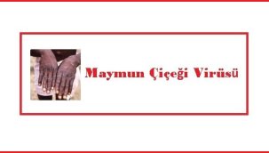 Maymun Çiçeği Hastalığı Türkiye'de görüldü mü? Sağlık Bakanı açıkladı!