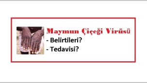 'Bir hastamızda maymun çiçeği hastalığı tespit edildi' - Sağlık Bakanı Dr. Fahrettin Koca!