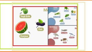 Haziran ayında sağlıklı hangi 'Meyve - Sebze ve Balık türleri' yenir?