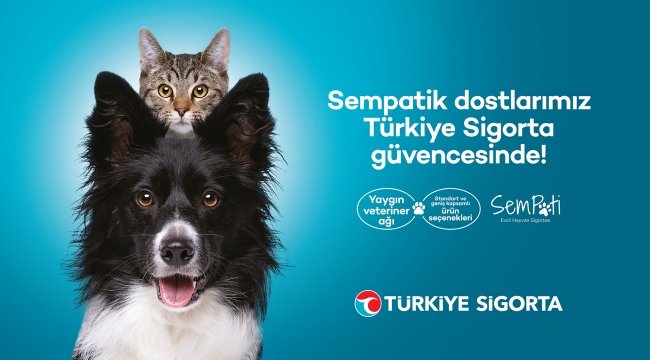 Türkiye Sigorta'dan sevimli dostlara özel sigorta - Sempati Evcil Hayvan Sigortası
