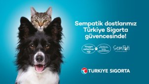 Türkiye Sigorta'dan sevimli dostlara özel sigorta - Sempati Evcil Hayvan Sigortası
