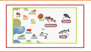 Ağustos ayında hangi 'meyve-sebze ve balık' yenir? - Sağlıklı beslenme!