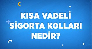 Kısa Vadeli Sigorta Kolları Nedir?